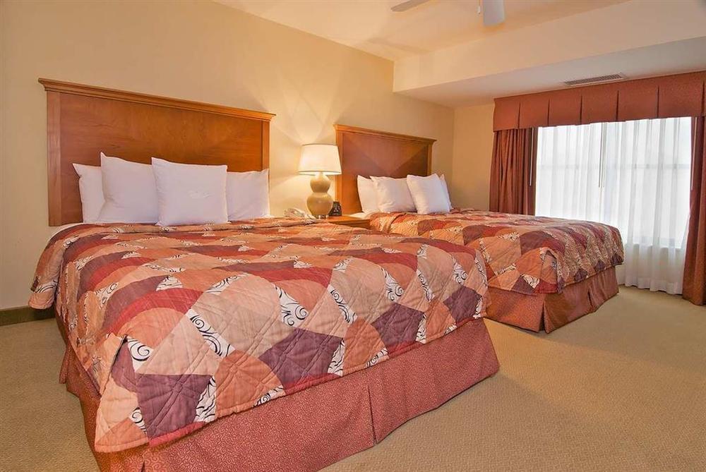 Homewood Suites By Hilton Newark-Wilmington South Area Habitación foto